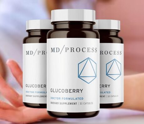 GlucoBerry at a glance